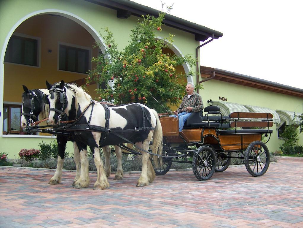 Agriturismo Nonna Rina Villa San Liberale Kültér fotó