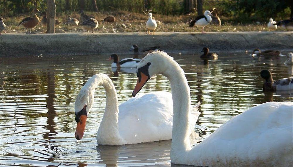 Agriturismo Nonna Rina Villa San Liberale Kültér fotó