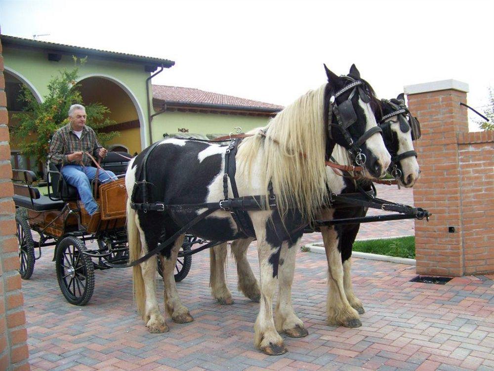 Agriturismo Nonna Rina Villa San Liberale Kültér fotó