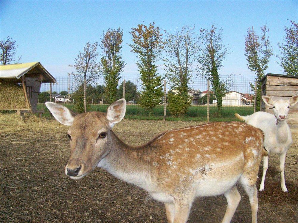 Agriturismo Nonna Rina Villa San Liberale Kültér fotó