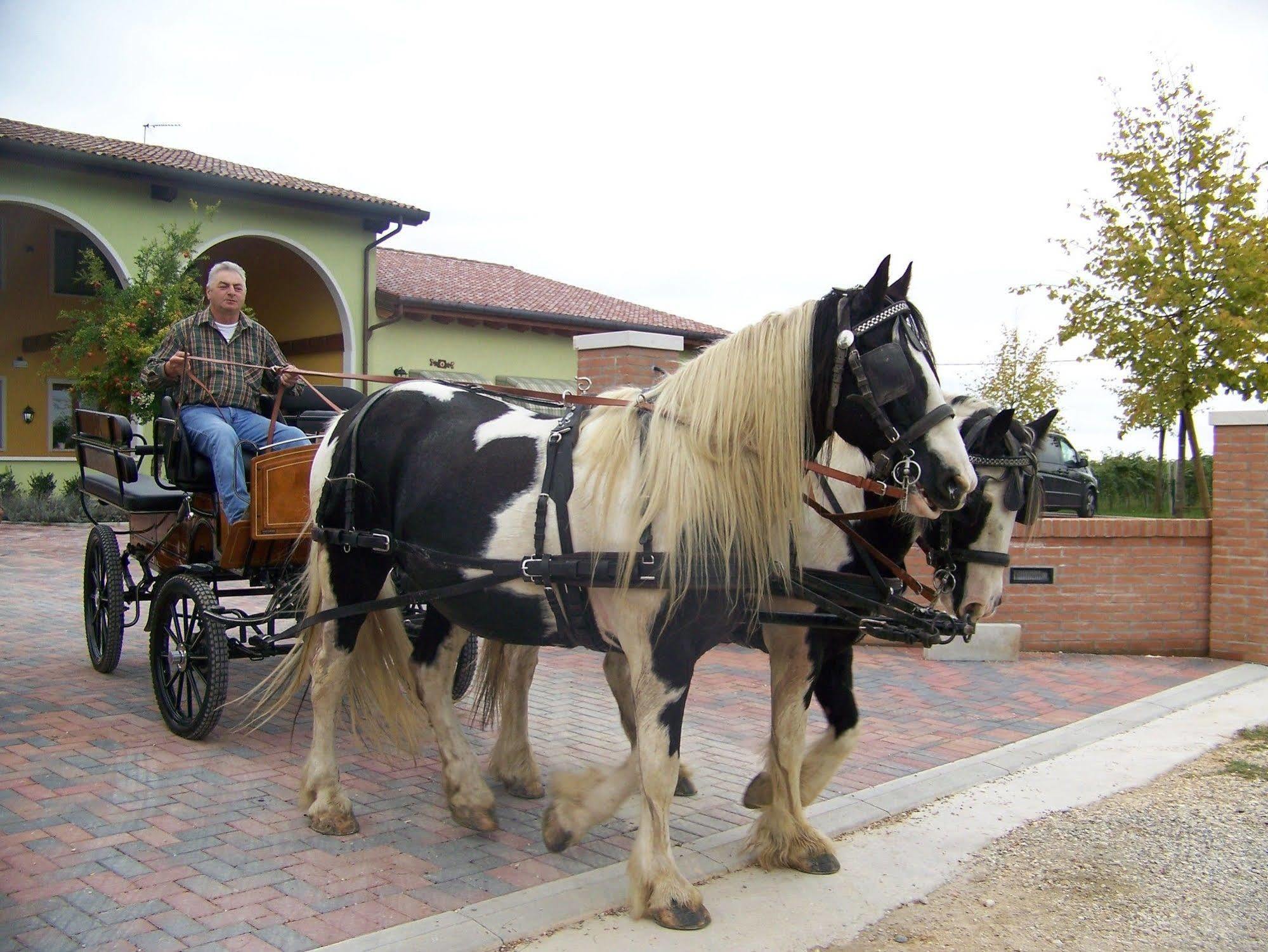 Agriturismo Nonna Rina Villa San Liberale Kültér fotó